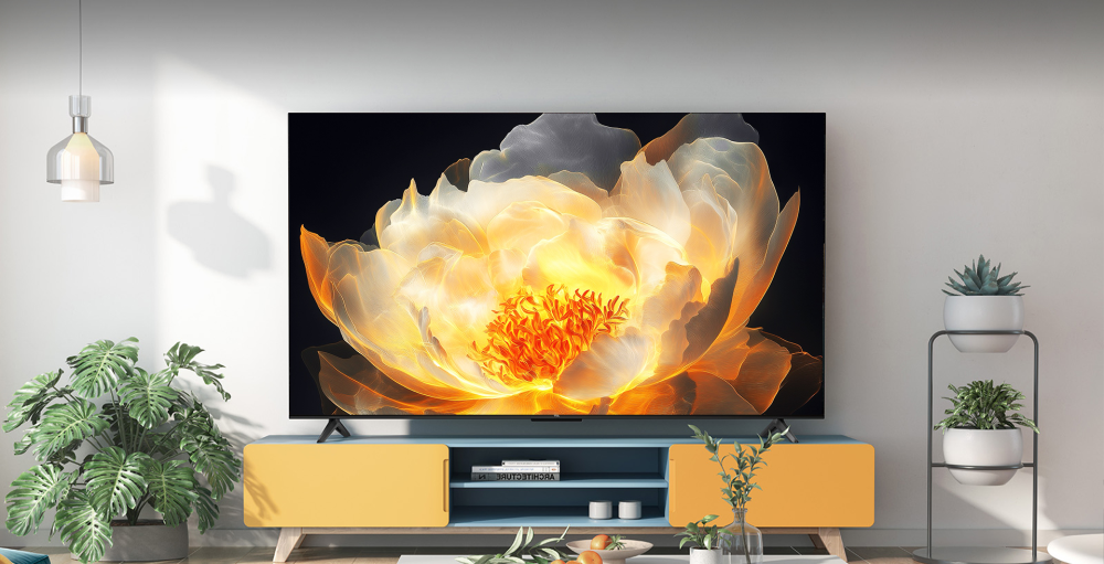 TV Slide