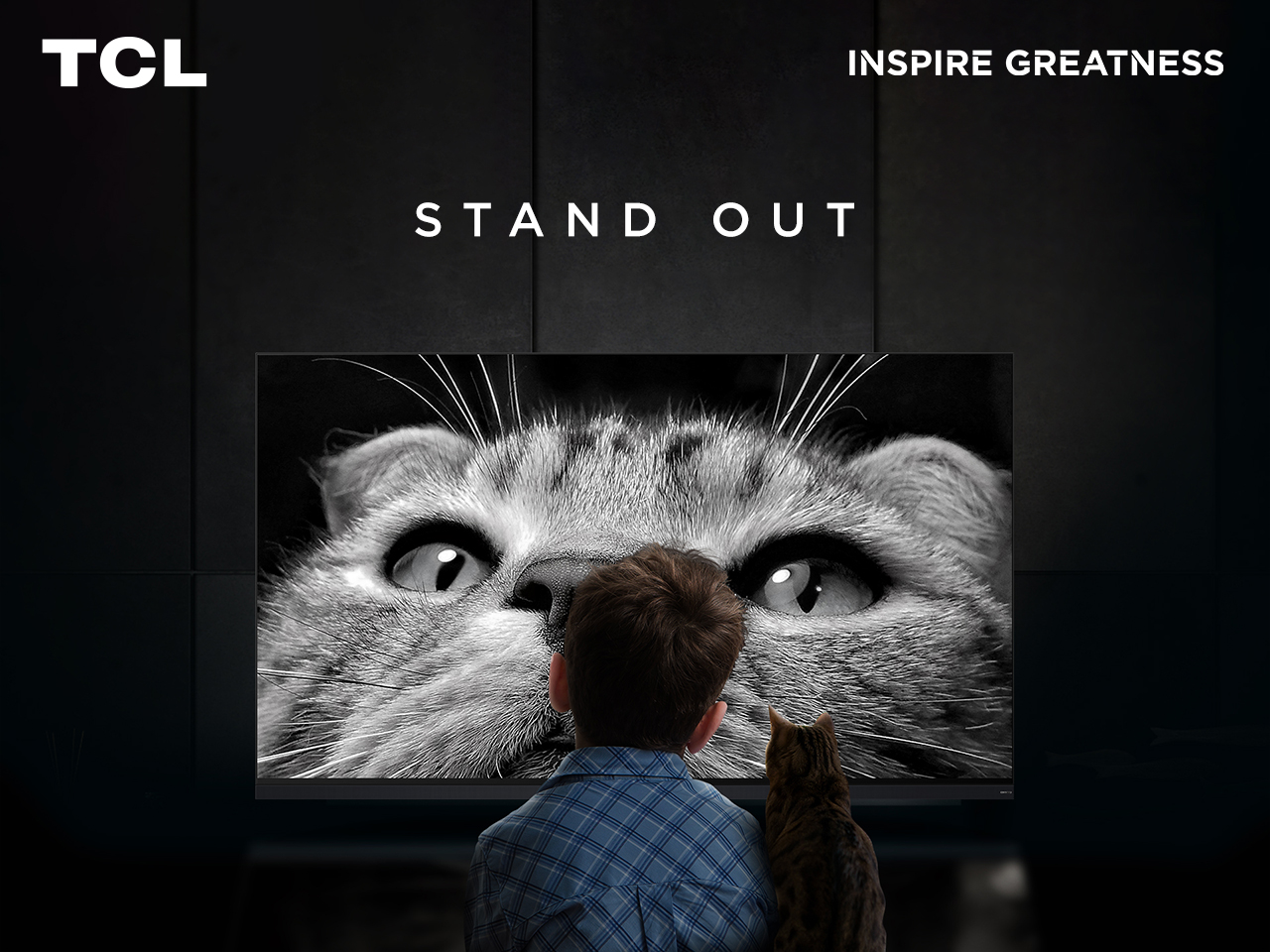 How Does TCL as a brand Stand Out in the TV World? 