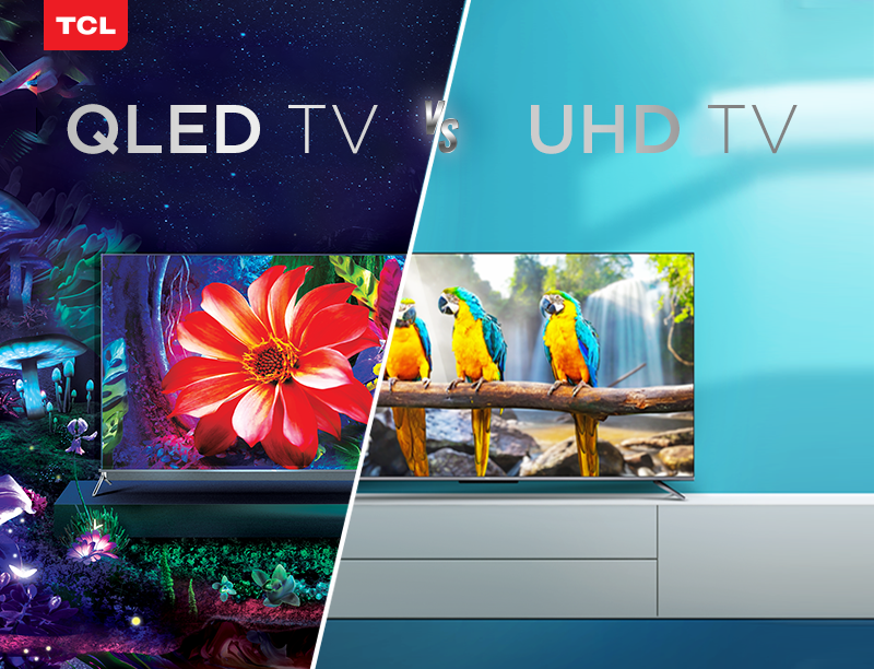 triathlon At opdage Skrivemaskine UHD Vs QLED – What's the difference? - News