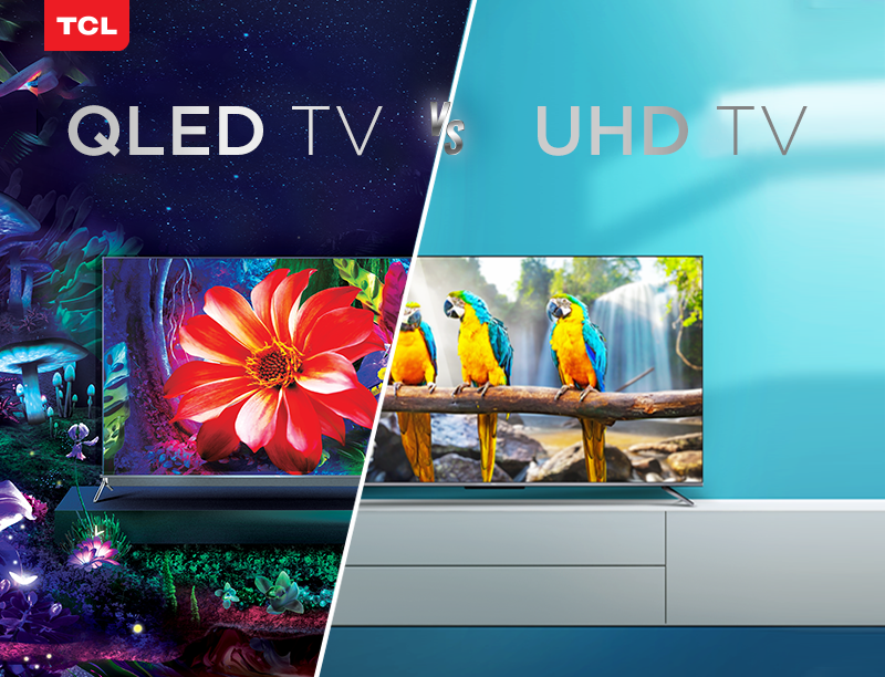 konstant mens Bangladesh UHD Vs QLED – What's the difference? - News