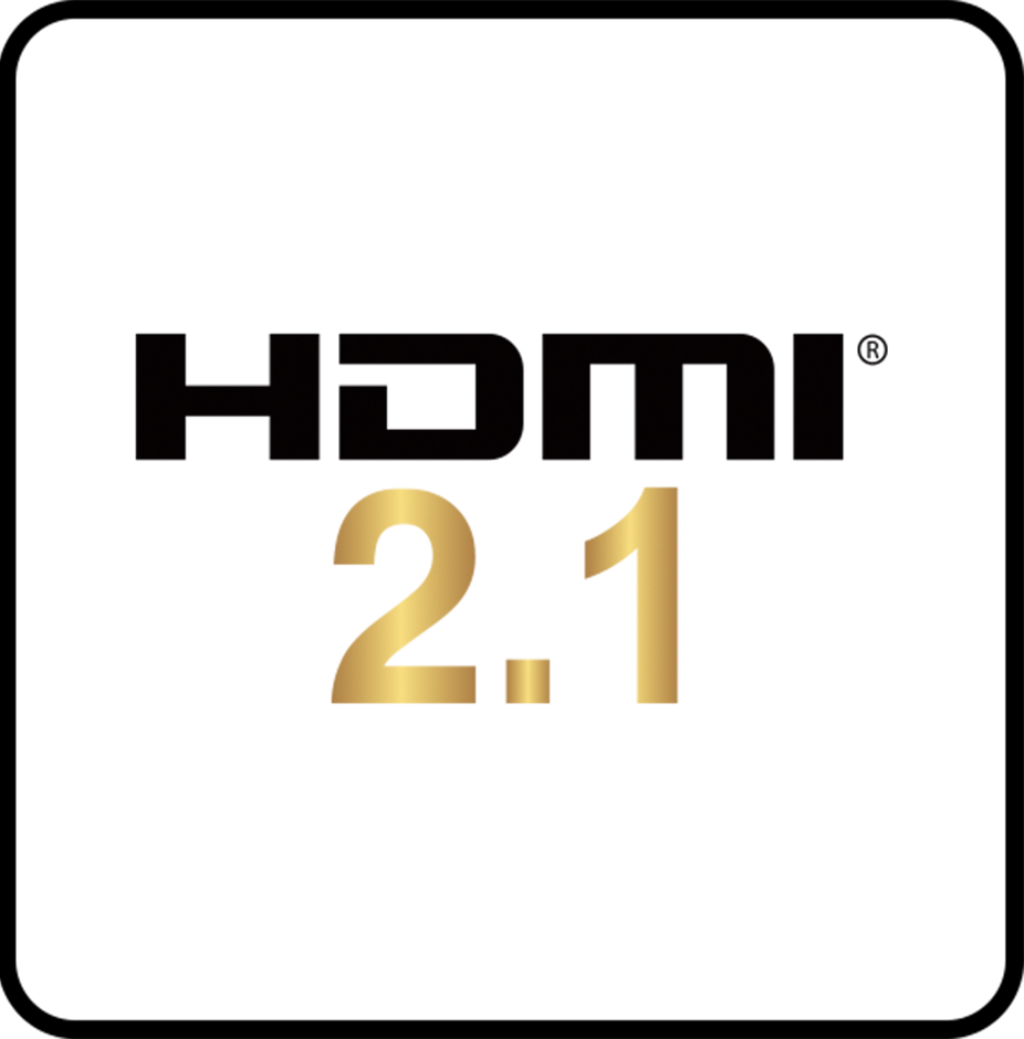 HDMI 2.1